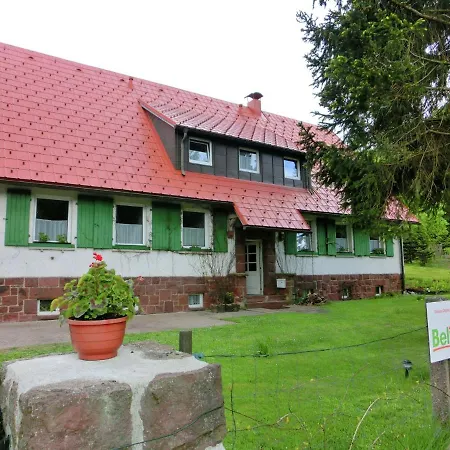 Large In Tabarz Thuringia, With Barbecue *